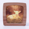 Lamb Seasonal Transparency | ©Conscious Craft